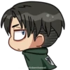LEVI 12