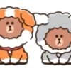 PUPPY BROWN 10