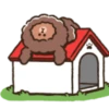 PUPPY BROWN 13