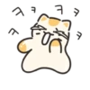 Jelly cat cheese! | 12