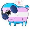 LGBT dog 5