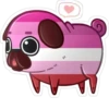 LGBT dog 6
