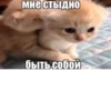 meow 17
