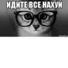 meow 18