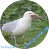 TOW Не прёт, но возьму ещё!