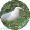 TEWP Не наход!