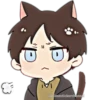 LEVI 17