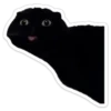 Black 7