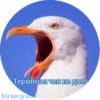 Терминал чек не дал!