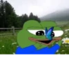 Pepe Gourmet 19
