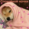 трактор в жопе @sad_kam 22