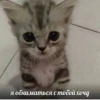 meow 21