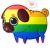 LGBT dog 10