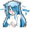 Muki very shy cat :: 23