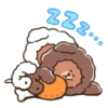 N ZZ