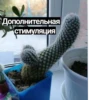 трактор в жопе @sad_kam 27