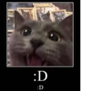 meow 27