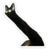 Black 9
