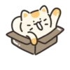 Jelly cat cheese! | 21