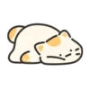 Jelly cat cheese! | 22