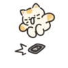 Jelly cat cheese! | 24