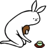 rabbit with beautiful legs 5