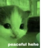Hehe :: 2