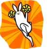 rabbit with beautiful legs 7