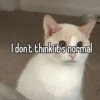 homophobic animals 5