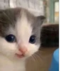 Hehe :: 4