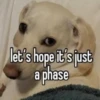 homophobic animals 6