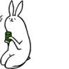 rabbit with beautiful legs 12