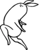 rabbit with beautiful legs 13