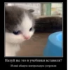 Hehe :: 7