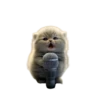 Kawaii 9
