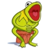 Kermit the Frog 11