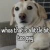 homophobic animals 7