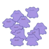 Pokémon: Ditto 6