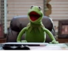Kermit the Frog 6