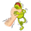 Kermit the Frog 13