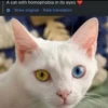 homophobic animals 9