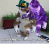 jojocats 6