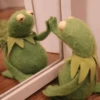 Kermit the Frog 8