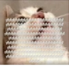 aaaaaaaaaAAAAAAAAAAAA AAAAAAAAAAAAAAAAAAAAA ብብብብብብብብብብብብብብብብብብብብ ብብብብብብብብብብብብብብብብብብብብብብ ብብብብብብብብብብብብብብብብብብብ AAAAAAAAAAAAAAAAAAAAA AAAAAAAAAAAAAAAAAAAAAA AAAAAAAAAAAAAAAAAAAAA