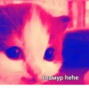 Hehe :: 10
