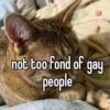 homophobic animals 10