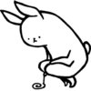 rabbit with beautiful legs 17