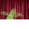 Kermit the Frog 10