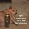 Crus сука по душам не с кем поговорить