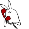rabbit with beautiful legs 18